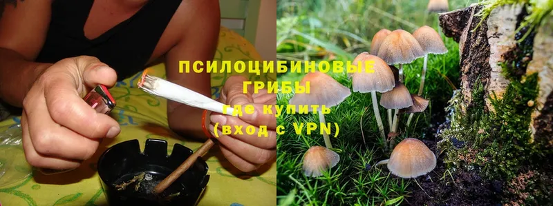 Галлюциногенные грибы Cubensis  продажа наркотиков  Нижний Ломов 